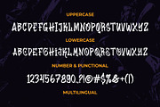 Wister Domn Graffiti Font, a Handwritten Font by Lettermine (Thumbnail 9 of 10)