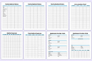 2025 Medical Planner Bundle Canva, a Stationery Template by Mustafiz (Thumbnail 4 of 7)