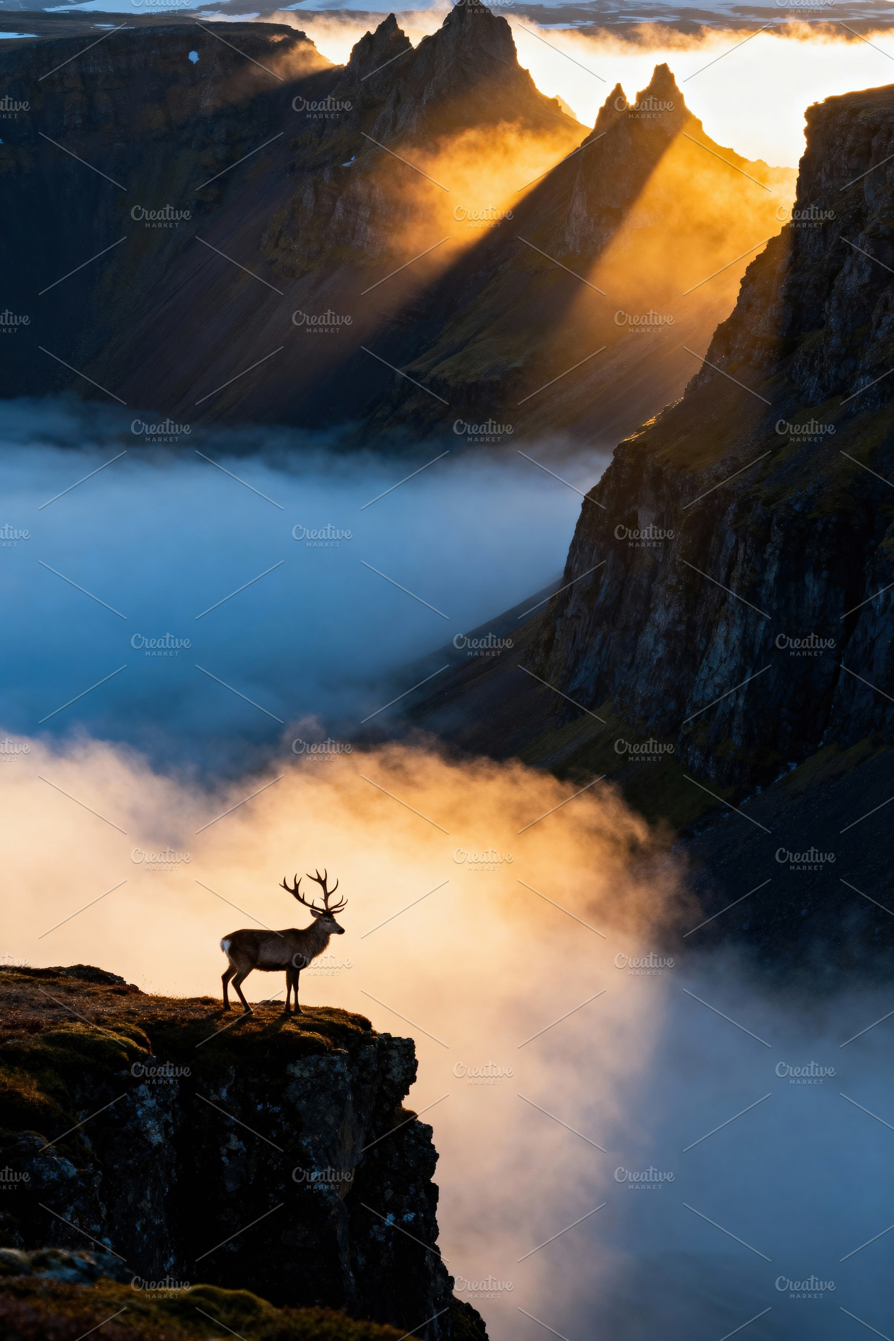 Majestic Reindeer on Cliff, a Nature Photo by Virgo Studio