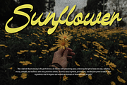Monlight Retro Modern Script Font, a Script Font by Ronny Studio (Thumbnail 7 of 9)