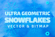 Digital Winter Vector Snowflakes, a Seasonal Illustration by Penina (Thumbnail 1 of 3)