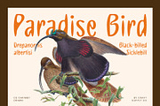 CS Carimby Drawn, a Sans Serif Font by Craft Supply Co. (Thumbnail 4 of 8)