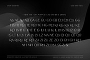 Saeson a Sharp Sans Serif Family, a Sans Serif Font by Lettertype Studio (Thumbnail 8 of 12)