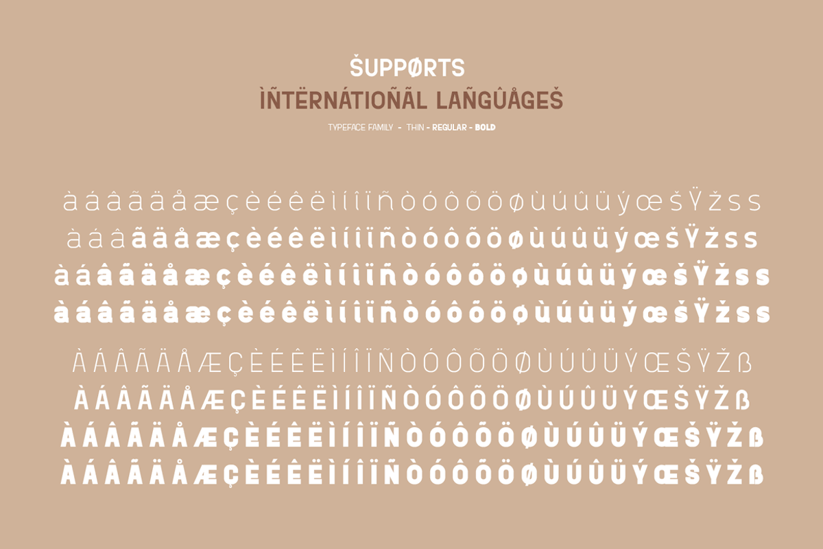 brifa, a Sans Serif Font by twinstd (Photo 14 of 14)