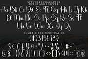Party Beauty, a Handwritten Font by InermediaSTUDIO (Thumbnail 8 of 8)