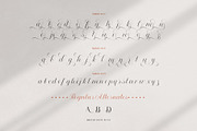 Broted Young Plant Font Duo, a Sans Serif Font by alit design (Thumbnail 9 of 20)