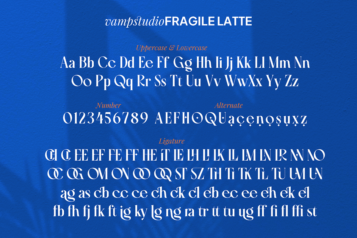 Fragile Latte – Elegant Serif, a Serif Font by Vampstudio (Photo 11 of 13)