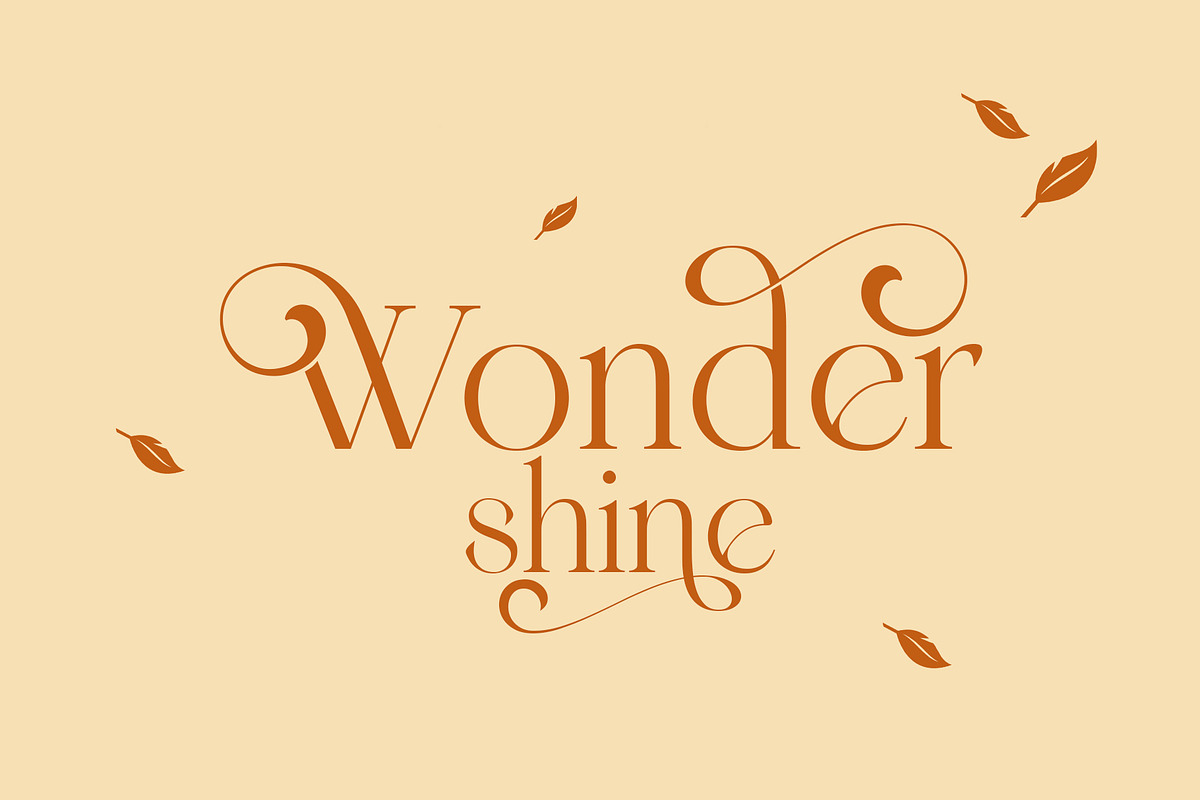 Wondershine, a Serif Font by INKSUN™ (Photo 1 of 14)