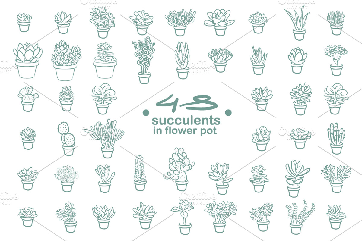 63 Succulents illustration set, a Decorative Illustration by Artha Design Studio (Photo 3 of 4)