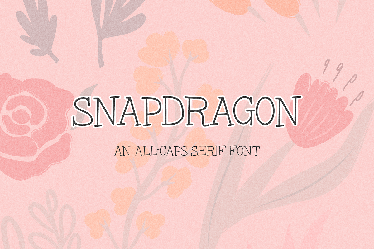 Snapdragon Serif Font, a Handwritten Font by Beck McCormick (Photo 1 of 10)
