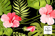 50% OFF! Tropical  jungle, a Pattern Graphic by Kotkoa (Thumbnail 10 of 11)