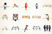 Watercolor Birds on a Wire Clipart, an Illustration by Rose Art (Thumbnail 2 of 3)
