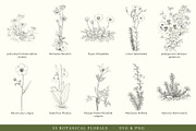 Botanical Floral Line Art Collection, a Decorative Illustration by AW Studios (Thumbnail 4 of 9)
