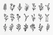 Plant and flower hand-drawn set, an Object Illustration by Tekuni (Thumbnail 2 of 6)