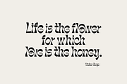 Morgy Display font, a Sans Serif Font by creativemedialab (Thumbnail 4 of 11)