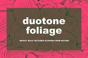 Duotone Foliage