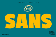 Sign Panthers 2 - Sign Painting Font, a Sans Serif Font by Konstantine Studio (Thumbnail 2 of 19)
