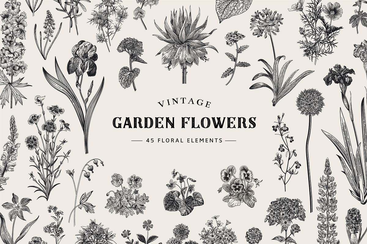 Garden Flowers. Black and white, an Illustration by olga.korneeva (Photo 1 of 5)