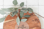 Eucalyptus Stock Photography, a Print Template by Smitten Photo & Design (Thumbnail 3 of 3)