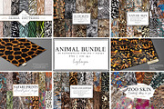 Bundle Animal Patterns, a Pattern Graphic by Luiz da Rolt Grathwohl (Thumbnail 1 of 18)