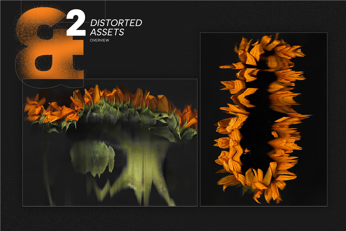 Scanned Sunflower Photocopies, a Graphic by Pásha (Photo 5 of 5)