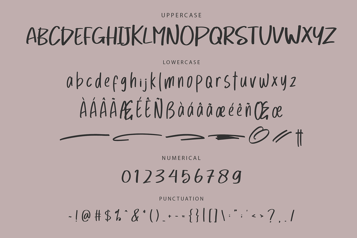 THIANA Handwriting Brush Font, a Handwritten Font by NTC Graphic (Photo 7 of 8)
