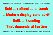 Tenue Bold Display Sans Serif Font, a Sans Serif Font by Rasio Studio (Thumbnail 8 of 13)