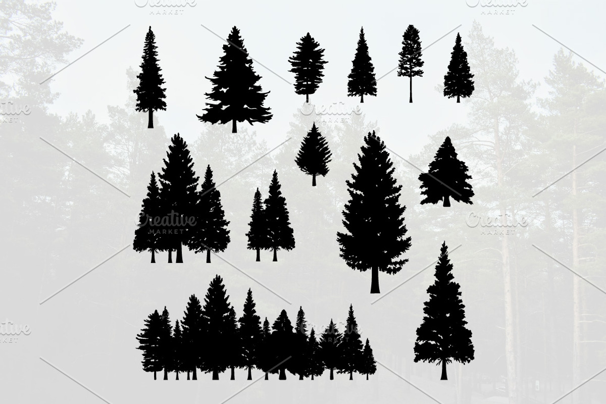 Coniferous Pine Fir Tree Silhouette, an Illustration by jongcreative (Photo 1 of 3)