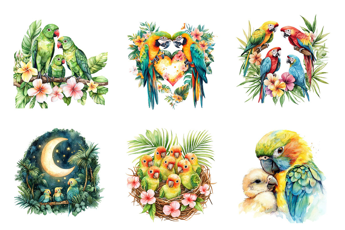 Watercolor Tropical Parrot Family, an Illustration by CreationArt (Photo 3 of 5)