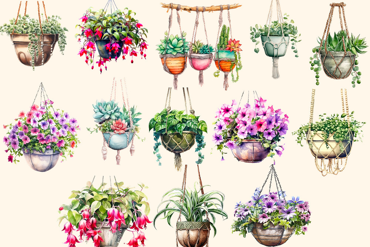 Flowers in hanging pots clipart, a Decorative Illustration by Hello My Print (Photo 6 of 10)