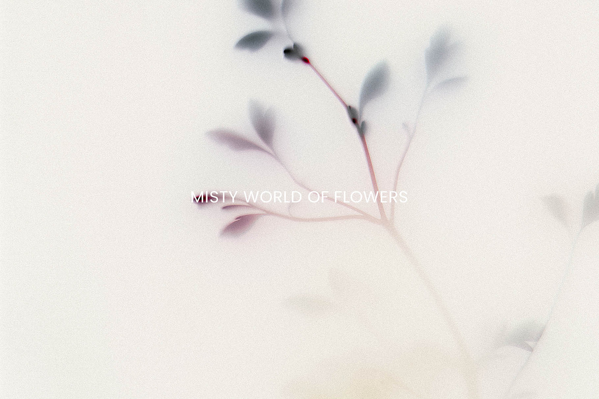 Foggy Flower Collection, a Background Graphic by nkate (Photo 10 of 11)