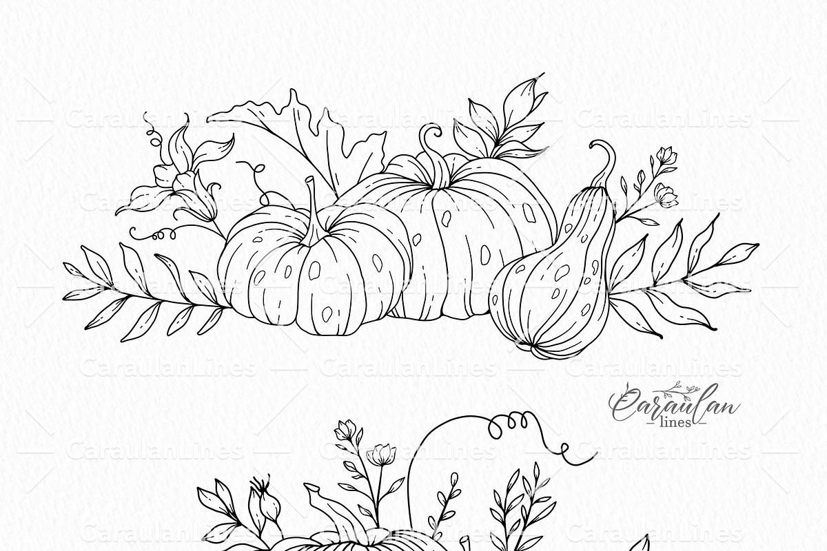 Hand Drawn Pumpkin SVG arrangements, an Object Graphic by CaraulanStore (Photo 6 of 8)
