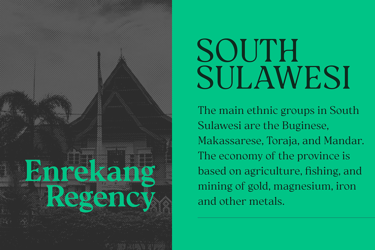 Reloka, a Serif Font by Locomotype (Photo 5 of 12)