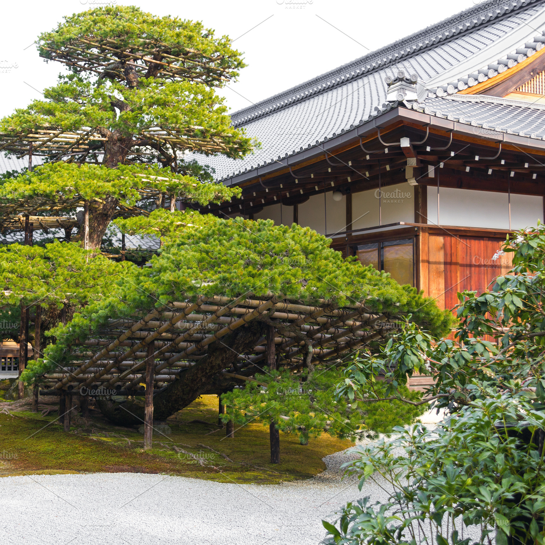 Japanese garden in Japan, a Nature Photo by BOOCYS