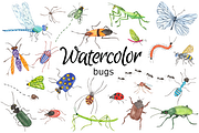 Summer bugs watercolor clip art, a Background Graphic by GoodFairyClipArt (Thumbnail 1 of 2)