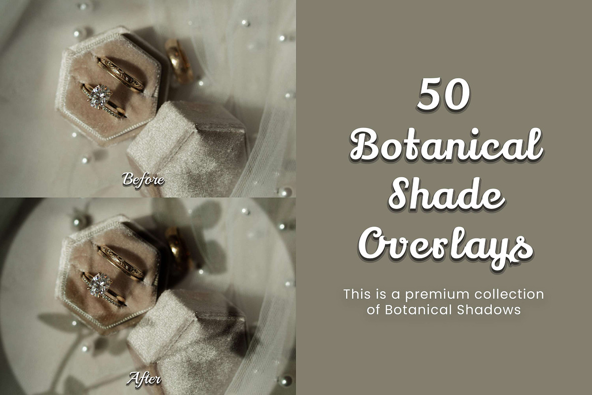50 Botanical Shade Overlays, a Pattern Graphic by 3Motional (Photo 12 of 17)