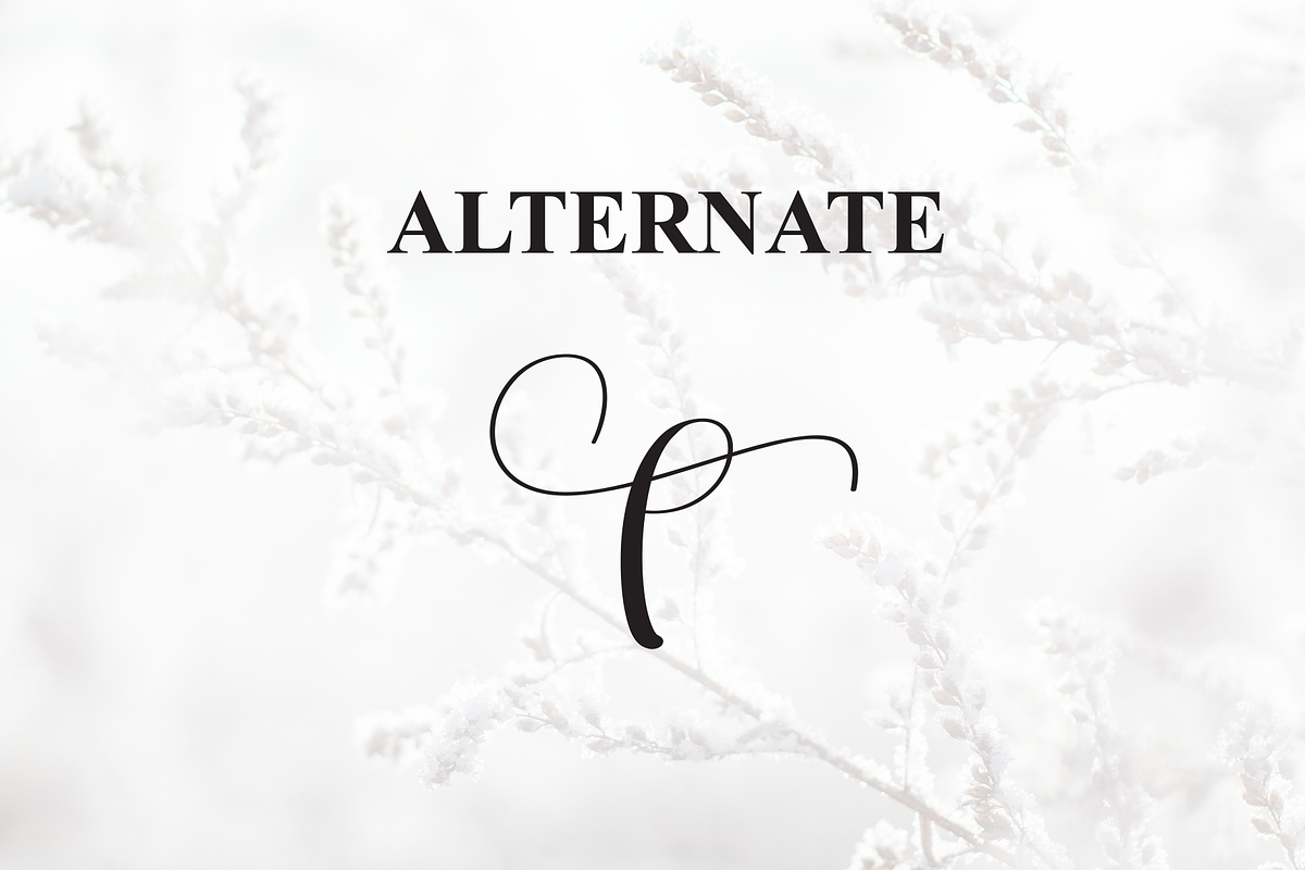 Winterday | Script Font, a Handwritten Font by Scratchones (Photo 8 of 9)