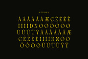 Wader Modern Elegant Serif, a Serif Font by Alfinart (Thumbnail 11 of 11)