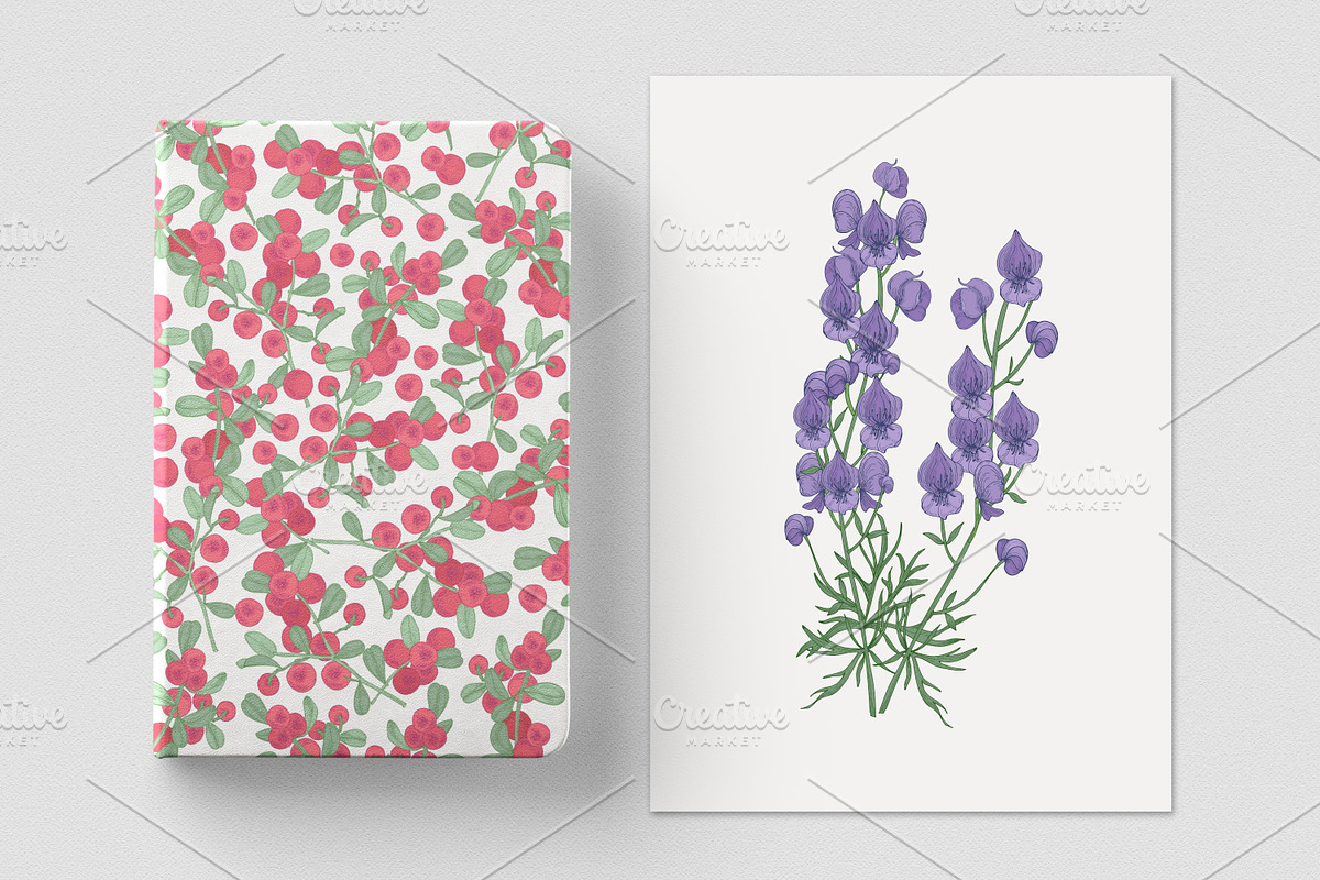 Wild flowers,herbs,herbaceous plants, a Texture Illustration by Good Studio (Photo 16 of 22)
