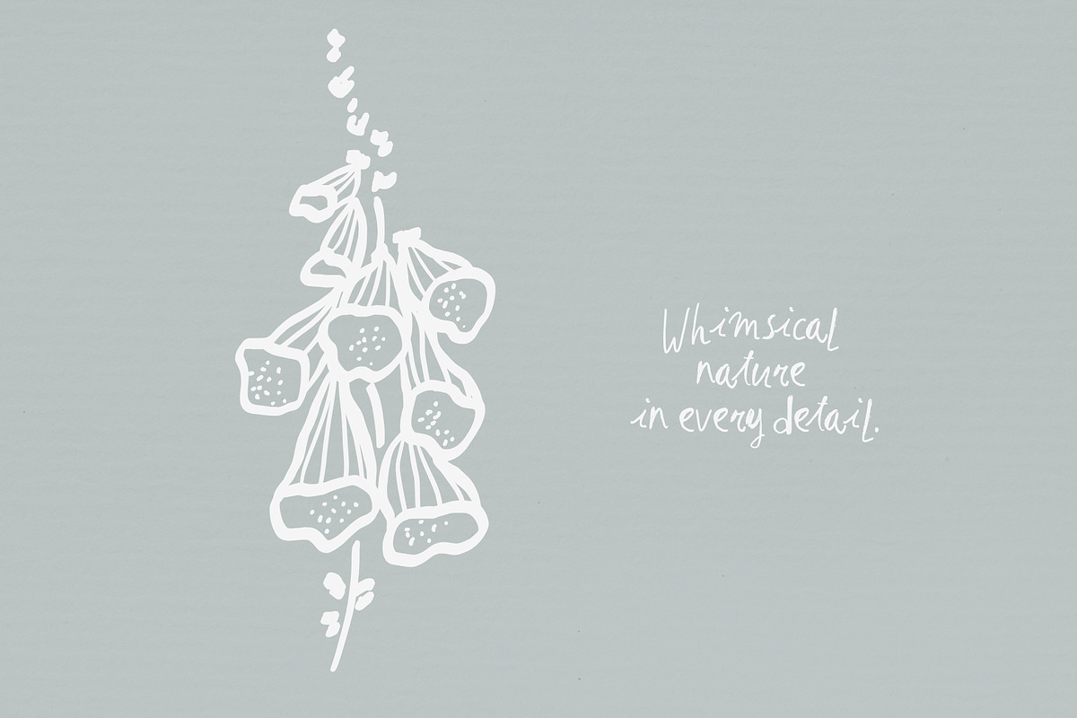 Whimsical Floral: 70 illustrations, an Object Graphic by PaperJamLab (Photo 12 of 12)