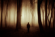 Haunted Halloween Forest Pack 2, a Nature Photo by Atmospheric visuals (Thumbnail 5 of 6)