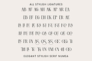 Fasrie - Ligature Serif Font, a Serif Font by Pandeka Studio (Thumbnail 9 of 11)