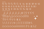 Berossla Modern Serif Font, a Serif Font by Storytype Studio (Thumbnail 8 of 9)
