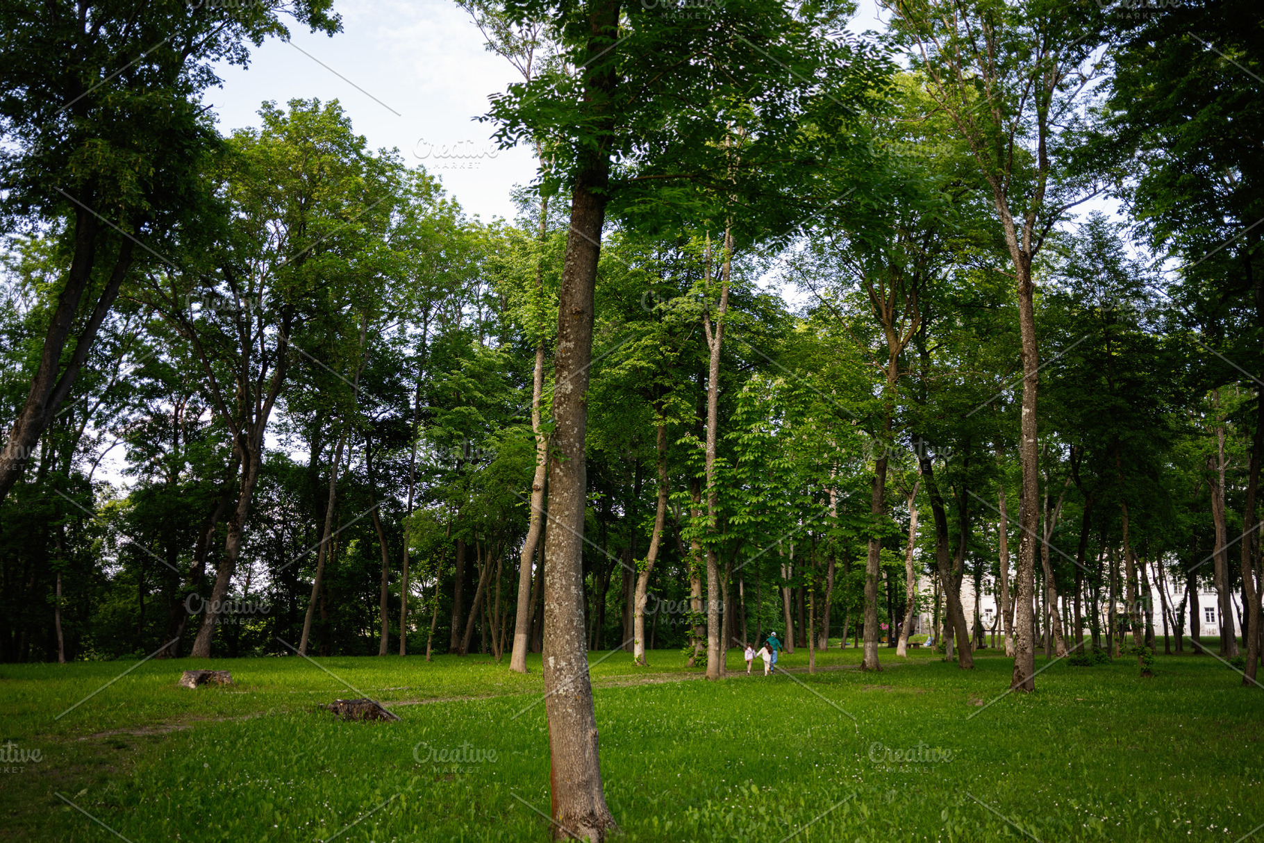 A serene park with lush greenery and people enjoying walking paths, a Person Photo by AS photostudio