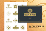 36 Luxury Ornament Logos, a Branding & Logo Template by Vasya Kobelev (Thumbnail 1 of 14)