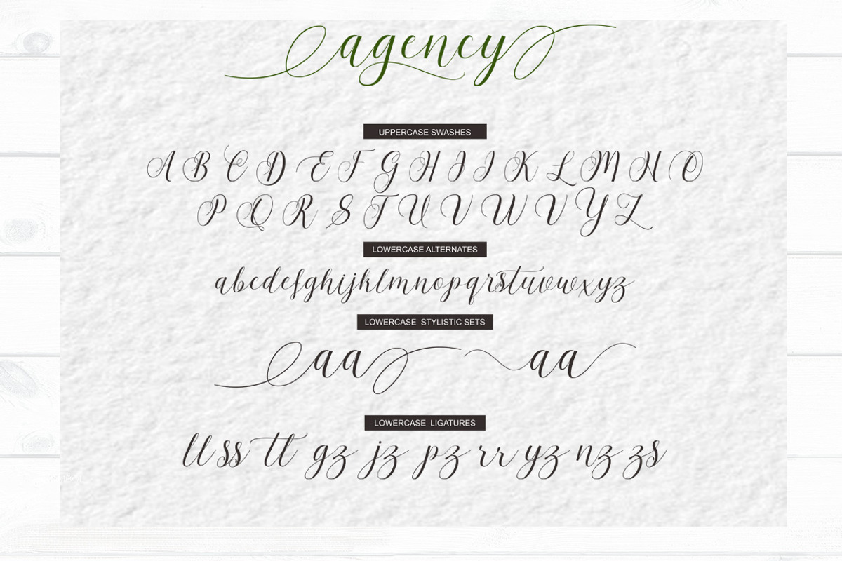 Agency Script, a Script Font by josstype (Photo 11 of 11)