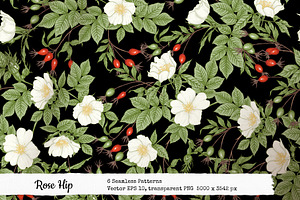 Rose Hip 6 Seamless Pattern