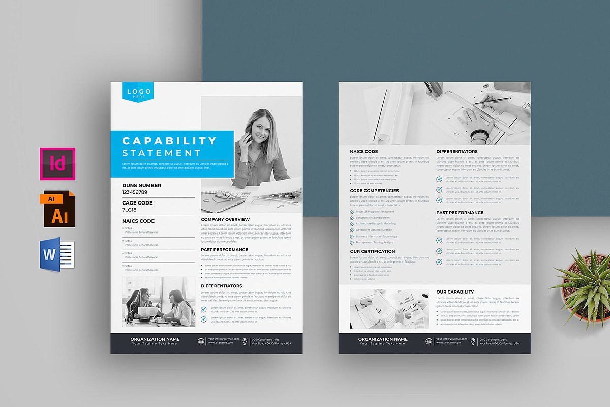 Capability Statement Bundle preview 5