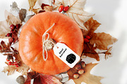 Pumpkins. Graphic collection, an Object Graphic by Vera●Suleimanova (Thumbnail 8 of 14)
