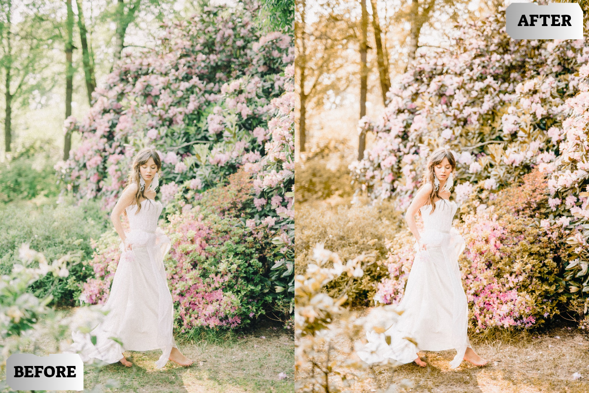 Summer Outdoor Lightroom Presets, a Preset Add-On by ARTSYNO (Photo 2 of 4)